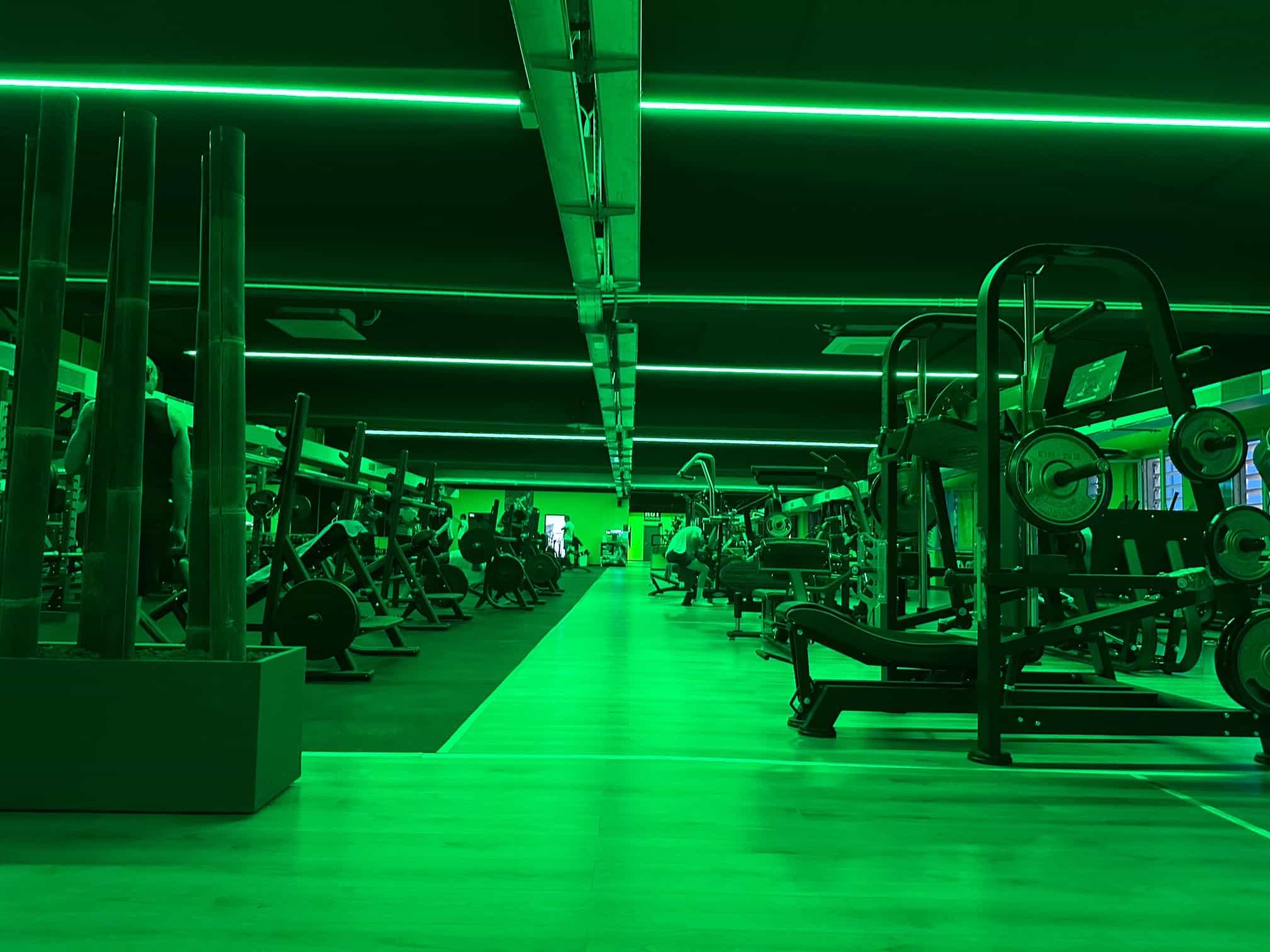 stezzano hutfit