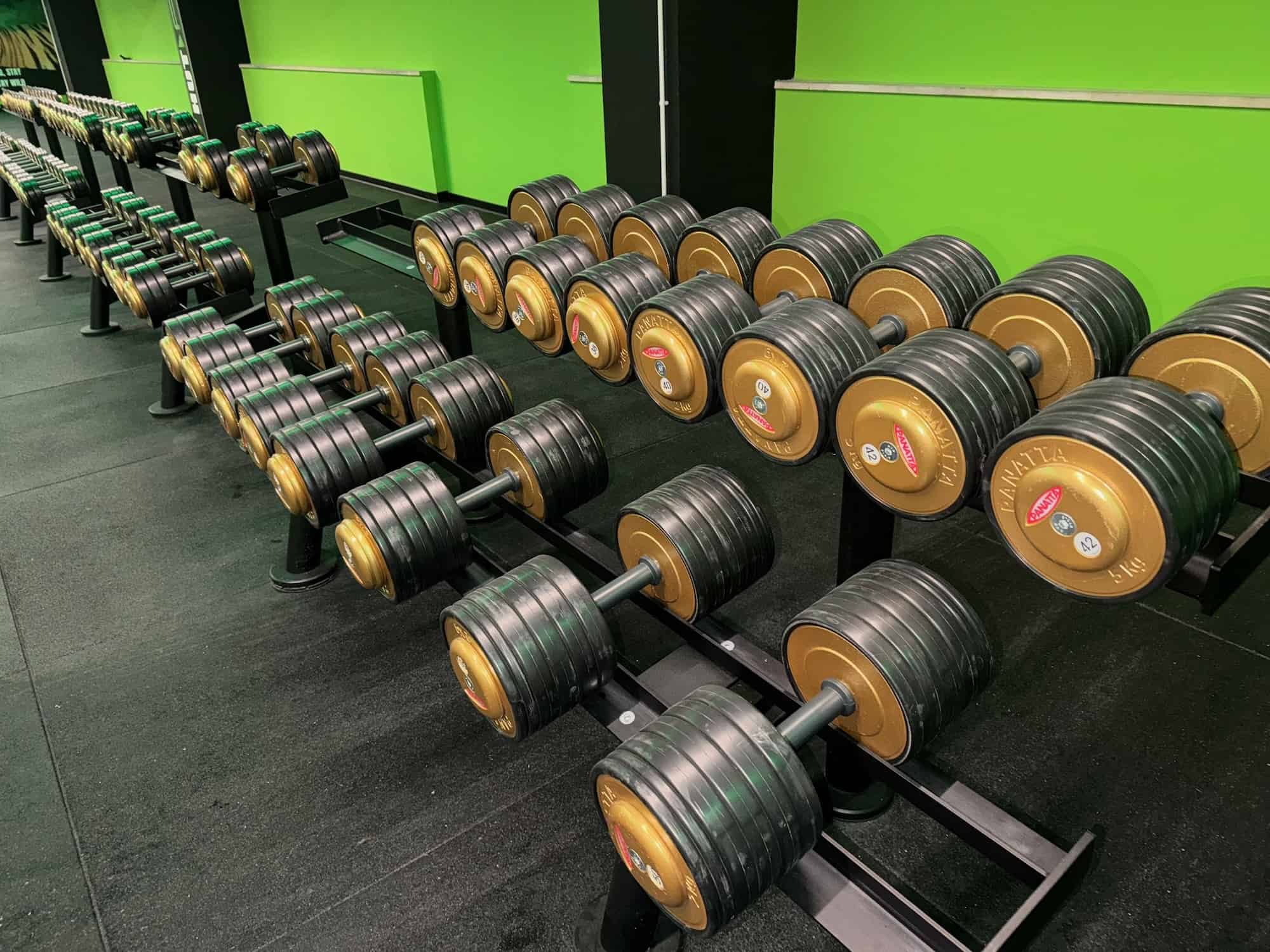 stezzano hutfit